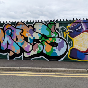Daisy Walk Graffiti (Spring 2019)